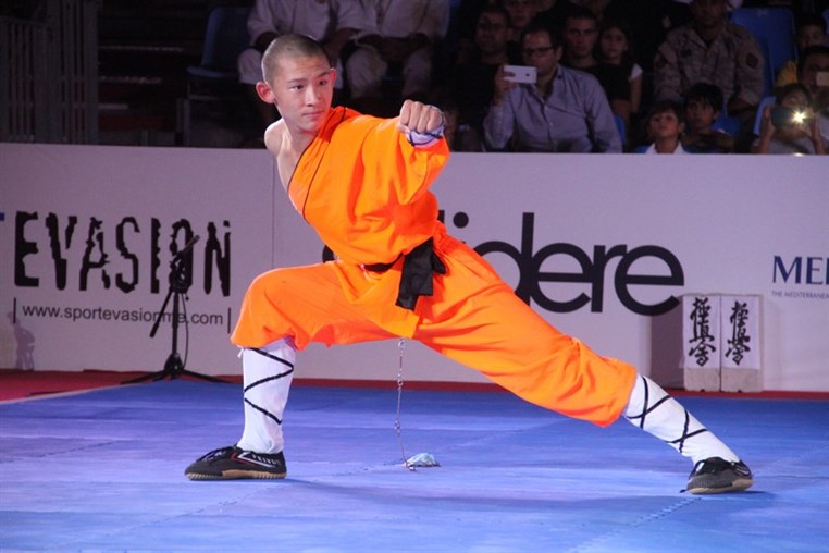 Martial Arts Festival